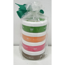 eJove - Aloe Pack Creme-Set 4x 50ml Aloe Vera Cremes Geschenkset hergestellt auf Gran Canaria