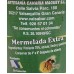 Valsabor - Mermelada de Pimiento Paprika-Marmelade Glas 250g hergestellt auf Gran Canaria