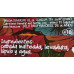 Tacoa - Canary Ale Surf Beer Bier 4,5% Vol. Glasflasche 330ml hergestellt auf Teneriffa