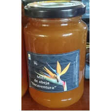 Finca Ventura - Miel de abeja de fincaventura Blütenhonig 500g Glas hergestellt auf El Hierro