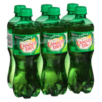 Canada Dry - Ginger Ale 20x 200ml Glasflasche Stiege hergestellt auf Gran Canaria