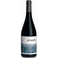 Atlante - Vino Tinto Rotwein trocken 750ml hergestellt auf Teneriffa