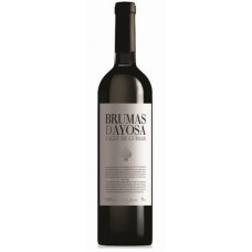 Brumas de Ayosa - Vino Tinto Rotwein 750ml hergestellt auf Teneriffa