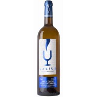 Calius Blanco Afrutado Vino Weißwein fruchtig 11% Vol. 750ml hergestellt auf Teneriffa