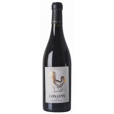 Conatvs Vino Tinto Conatus Rotwein trocken 750ml hergestellt auf Fuerteventura