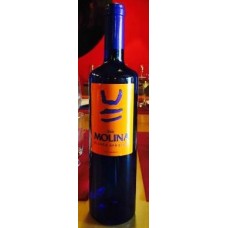 Valle Molina - Vino Blanco Afrutado Weißwein lieblich 750ml hergestellt auf Teneriffa