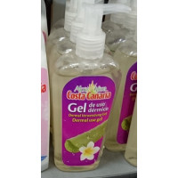 Costa Canaria - Aloe Vera Gel de uso dermico Drückspenderflasche 250ml hergestellt auf Gran Canaria