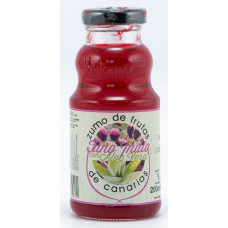 Valsabor - Zumo de Tuno Indio Canario con Aloe Vera Kaktusfeigen-Saft Flasche 200ml hergestellt auf Gran Canaria