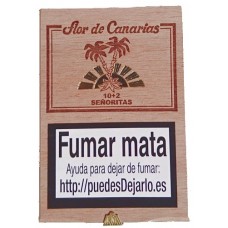 Flor de Canarias - Senoritas 10+2 Zigarillos Holzschatulle hergestellt auf Teneriffa